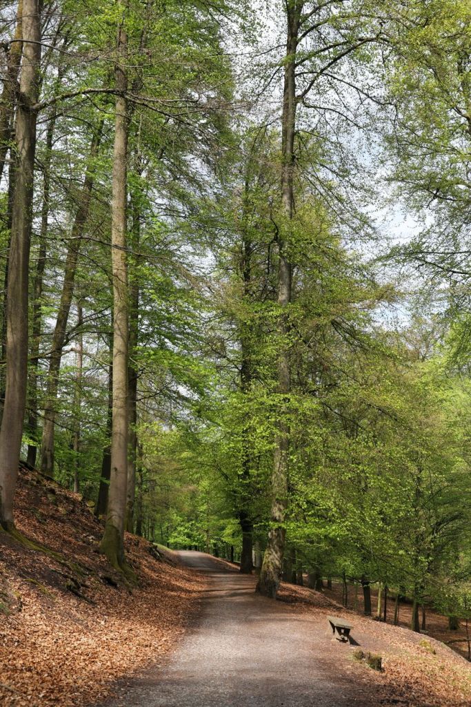Landschaftsstammtisch Dußlingen am 19. Juni&nbsp;2026