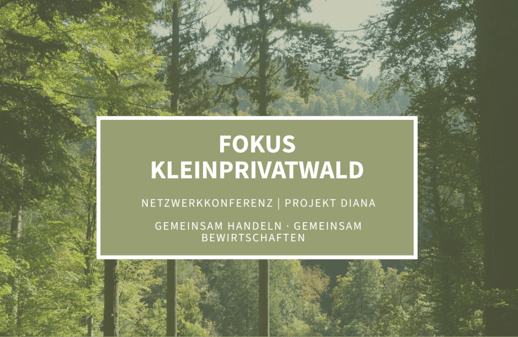 Fokus Kleinprivatwald: Netzwerkkonferenz des Projekts DIANA am 27. November in&nbsp;Aalen